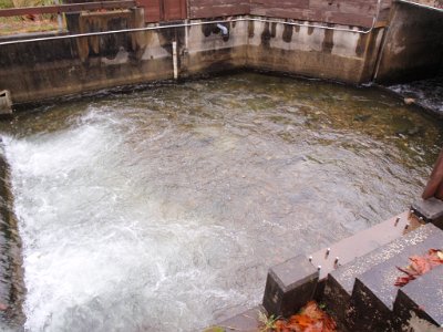 Nanoose Bay November 09